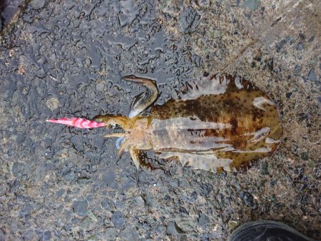 小さいながらも1杯